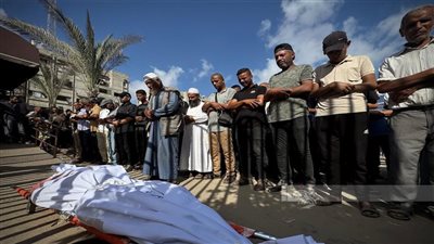73,335 شهيد منذ بدء حرب الإبادة على قطاع غزة