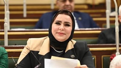 نيفين الكاتب: نقف خلف القيادة السياسية ونرفض أي محاولات لجر مصر إلى دائرة الصراع