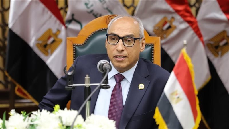 مجلس الدولة 