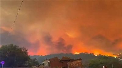 اليونان تجلي 31 شخصا بحرا جراء حرائق الغابات في جزيرة كريت