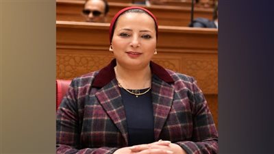 برلمانية: التعامل مع حادث ميناء دمياط يؤكد منهجية الدولة في مواجهة الشائعات