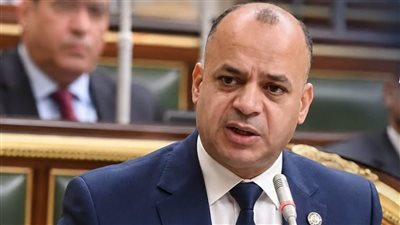برلماني: قوة مصر تبدأ من جبهتها الداخلية.. والاصطفاف الوطني واجب المرحلة