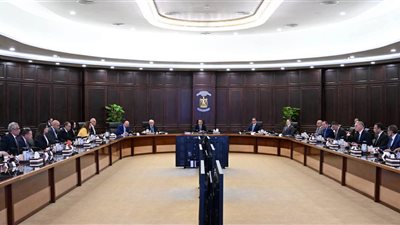 رئيس الوزراء: استقرار الخدمات داخل ميناء دمياط وانتظام العمل بكامل طاقته التشغيلية