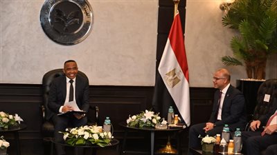 وزير الاستثمار ورئيس جمهورية مدغشقر يبحثان تعزيز الشراكة الاقتصادية