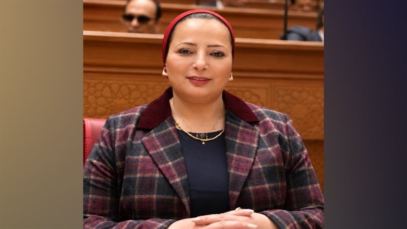 النائبة مروة حسان،
