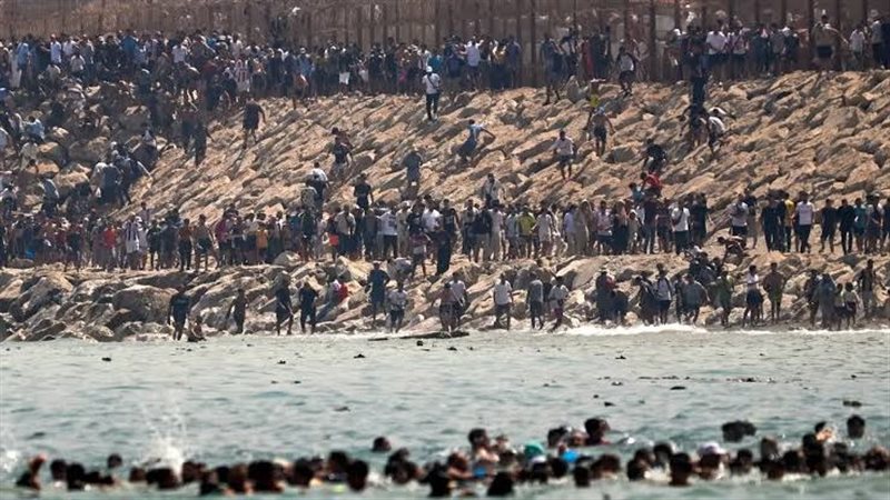 بوابة روز اليوسف