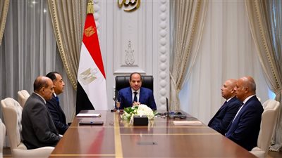 الرئيس السيسي يتابع مشروعات التطوير بالموانئ ووسائل النقل