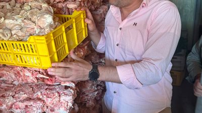 ضبط 3.75 طن دواجن فاسدة قبل طرحها بالأسواق في الغربية