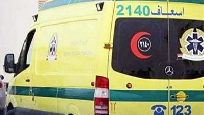 إصابة شخصين في انقلاب ميكروباص بجرجا ونقلهما إلى مستشفى الكوامل بسوهاج