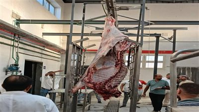 محافظ سوهاج يعلن بدء التشغيل التجريبي لمجزر أخميم بتكلفة 38 مليون جنيه