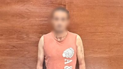 كشف ملابسات تداول منشور بتضرر سيدة من شخص لقيامه بسرقة هاتفها المحمول