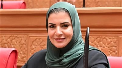 برلمانية: اتحاد المطورين يؤسس لمرحلة جديدة من التنظيم المؤسسي للسوق العقارية