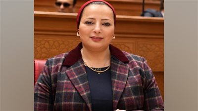 برلمانية تدعو لإطلاق خريطة استثمارية لتأسيس فروع للجامعات المصرية بالخارج