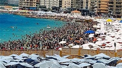 إقبال ضعيف على شواطئ الإسكندرية اليوم.. والراية الصفراء ترفع في العجمي