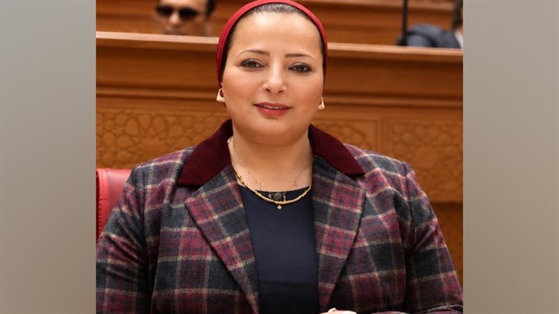 النائبة مروة حسان