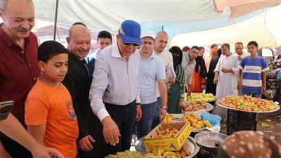محافظ المنيا يتفقد المخابز وسوق اليوم الواحد بعطف حيدر
