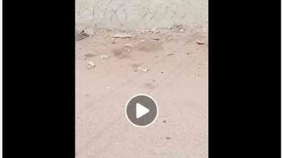 إزالة حواجز حديدية من أحد شوارع الإسكندرية بعد تداول فيديو على مواقع التواصل