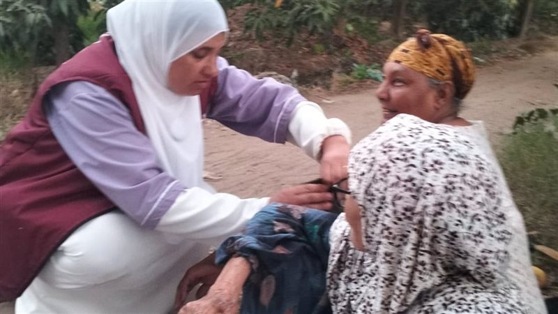 الحملة