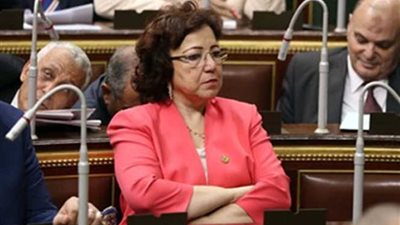 نائبة : المصريين نسيج واحد ولن يفرقهم الإرهاب