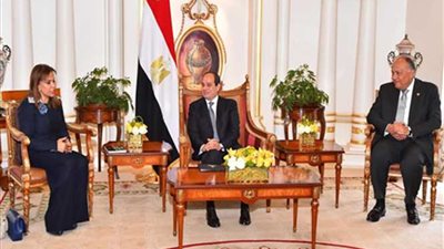 السيسي يستقبل بمقر إقامته بالكويت أعضاء الجانب الكويتي في مجلس التعاون الاقتصادي المصري الكويتي‎