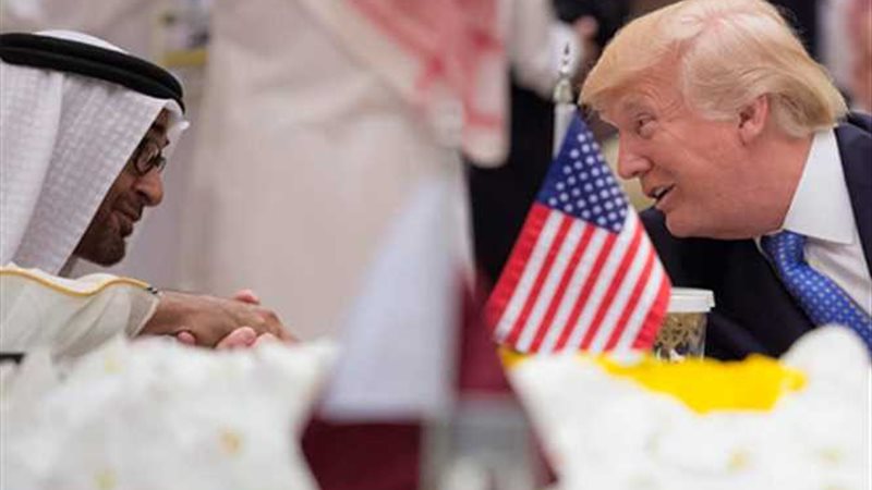 محمد بن زايد: دور