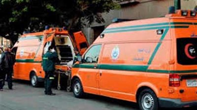 بوابة روزاليوسف تنفرد بالقائمة الأولى لضحايا ومصابى حادث المنيا الإرهابى