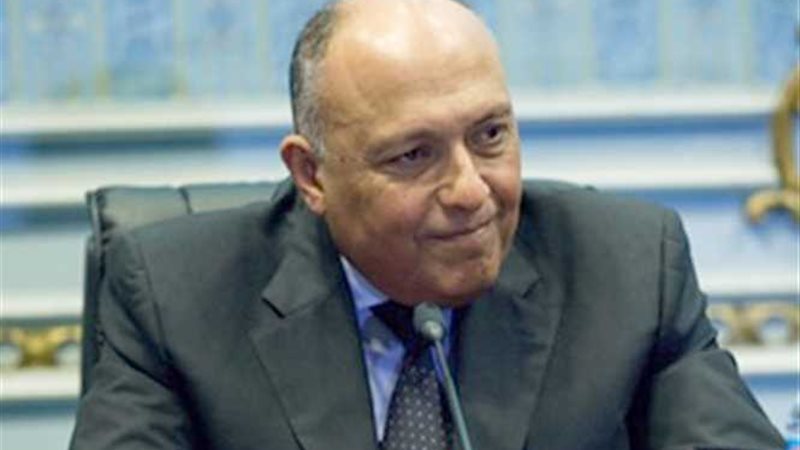 وزير الخارجية لـالنواب: