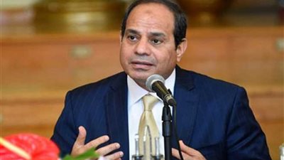 السيسي يستقبل وزير التعاون الاقتصادي والتنمية الألماني‎