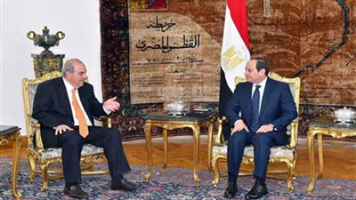 تفاصيل استقبال السيسي لنائب رئيس الجمهورية العراقى‎