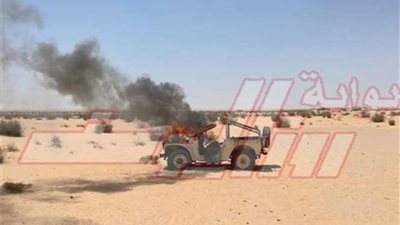 الجيش الثالث ينجح في القضاء على عناصر تكفيرية شديدة الخطورة بدعم القوات الجوية