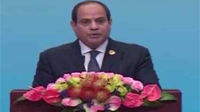 الرئيس السيسى : الشباب ركيزة الإصلاح الاقتصادى فى مصر