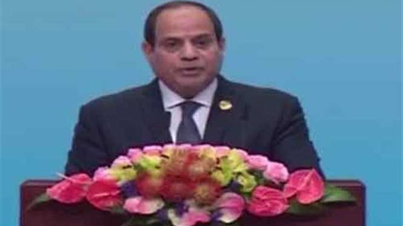 الرئيس السيسى : الشباب