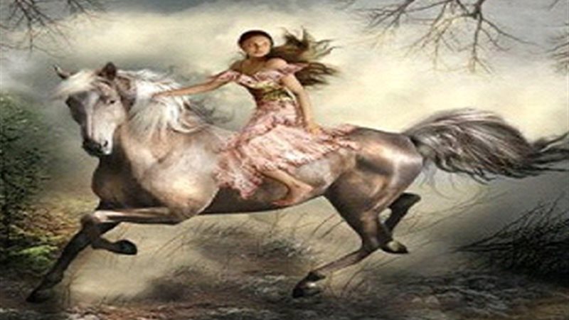 آية سعد الدين تكتب: