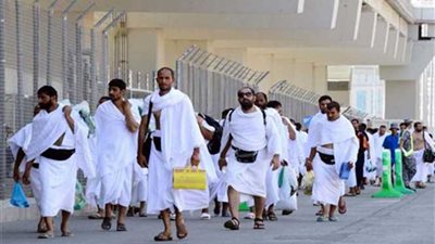 الصحة : إجمالى حالات الوفاة 110 فى موسم الحج هذا العام