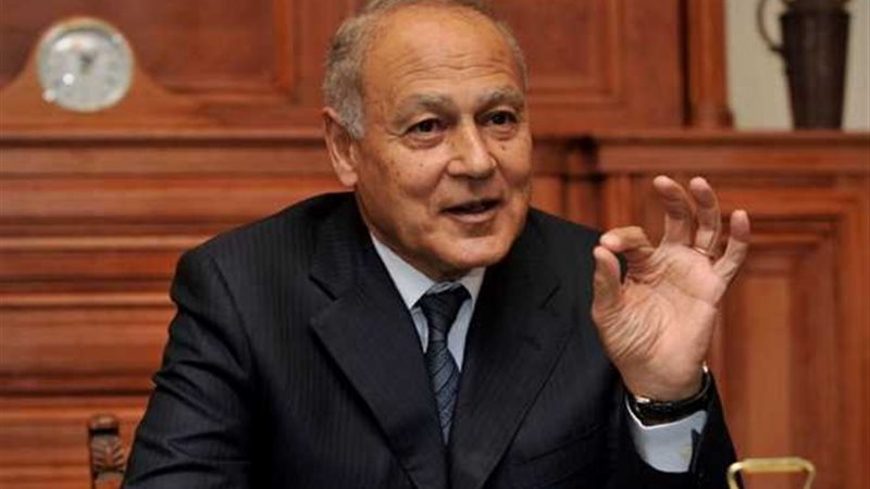 أبو الغيط يدعو لتعبئة