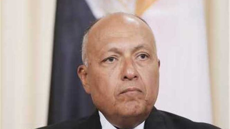 شكري: حان الوقت لاتخاذ