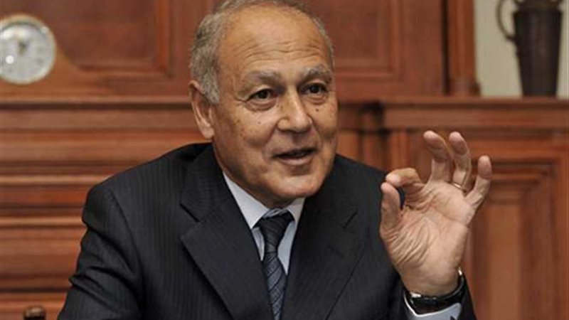 ابو الغيط : توحيد