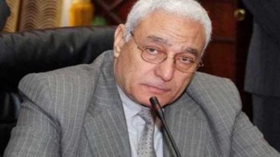 العبد: الشعب المصري نسيج واحد يرفض العنف والتطرف