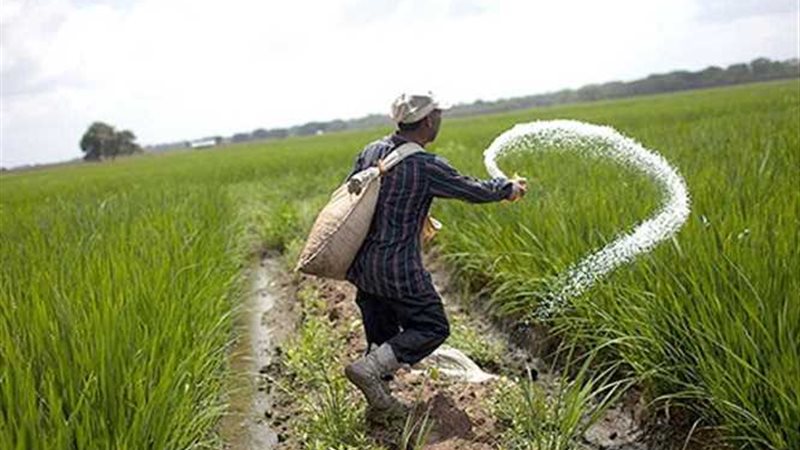 الحكومة ترفع سعر