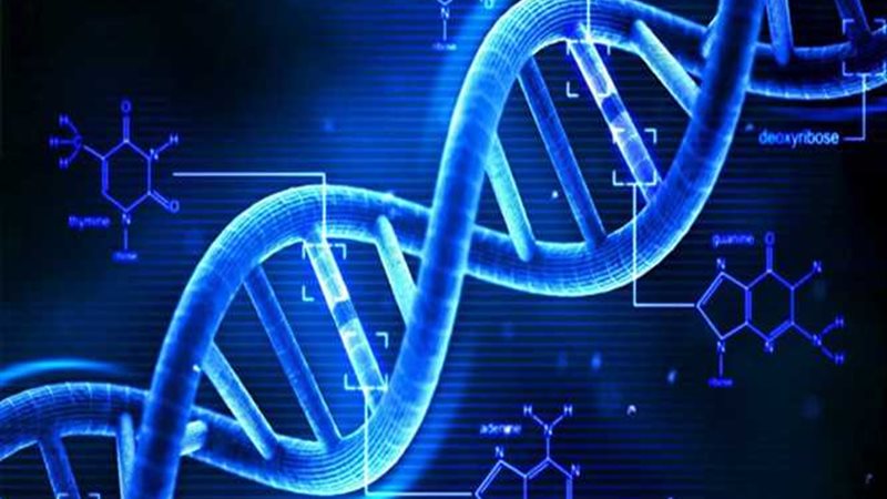 مفاجأة.. الـ DNA