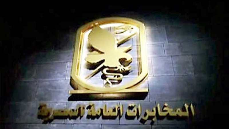 الصقور المصرية تحمى