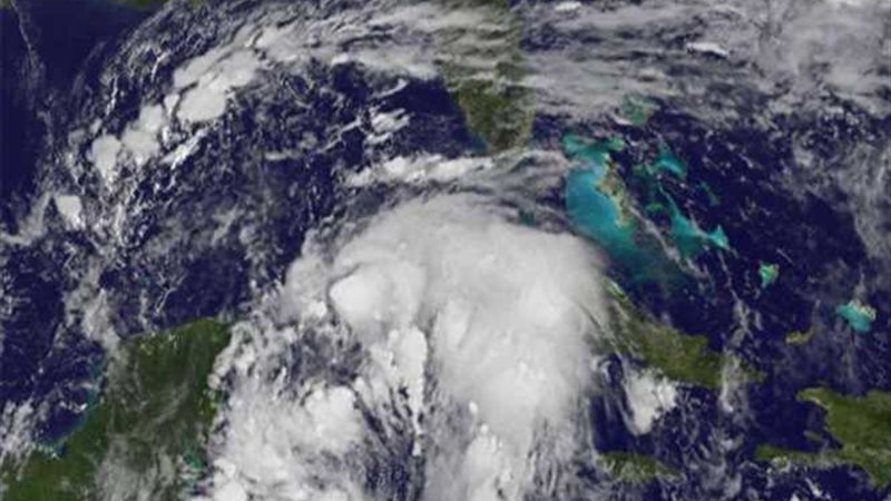 نيت يضرب السواحل