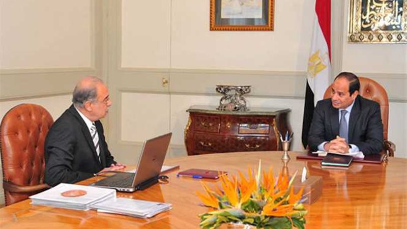 السيسي يكلف باستمرار