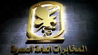 انتصار جديد للصقور.. وقف إطلاق النار بجنوب دمشق برعاية مصرية