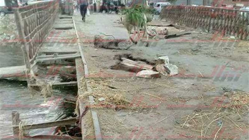 «بوابة روزاليوسف»