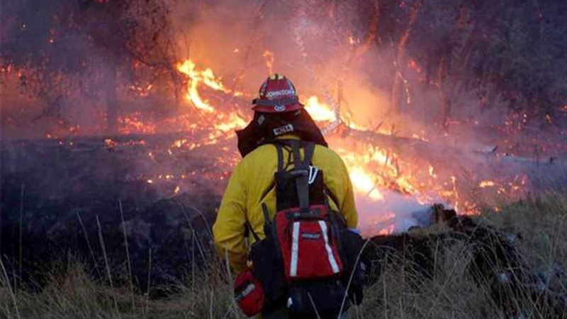 كاليفورنيا.. ارتفاع