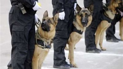 النمسا تفتش ركاب الخطوط التركية بكلاب بوليسية.. وأنقرة تحتج!