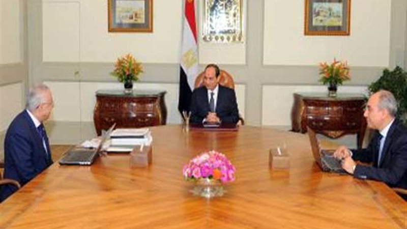 السيسي يوجه بتشكيل