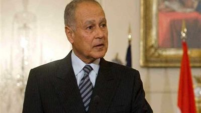 جامعة الدول العربية: ندعم مصر في حربها ضد الإرهاب