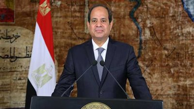 وزير خارجية الهند: بحثنا مع الرئيس السيسي سبلًا جديدة للشراكة مع مصر